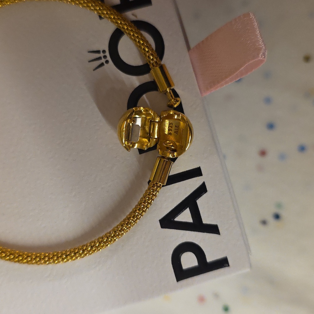 Pandora Shine Mesh Bracelet - Picture 4 of 6